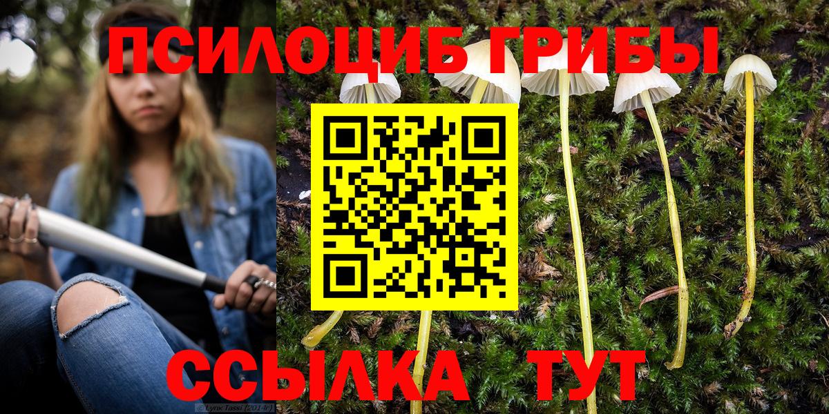 Псилоцибиновые грибы Magic Shrooms  купить  сайты  Удомля  Вход с VPN 